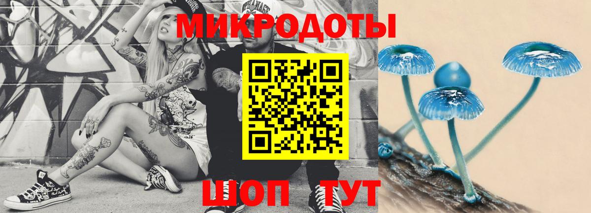 Псилоцибиновые грибы Cubensis Луга